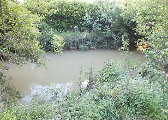 Le Trianon De Bed & Breakfast